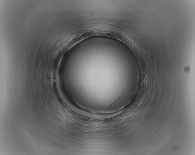 X0000091711108200709141114