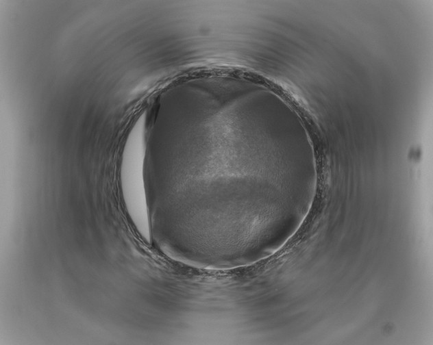 X0000091711110200709141114