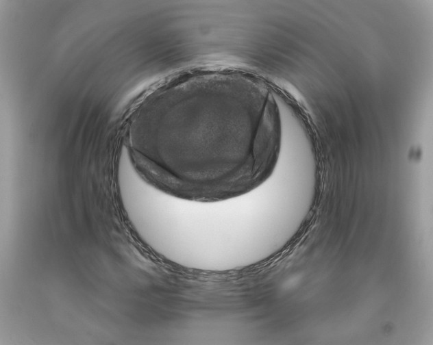 X0000091711112200709141114