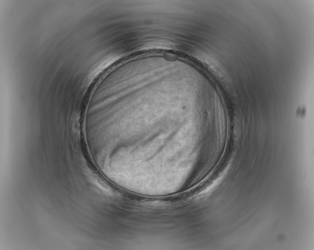 X0000091711113200709141114