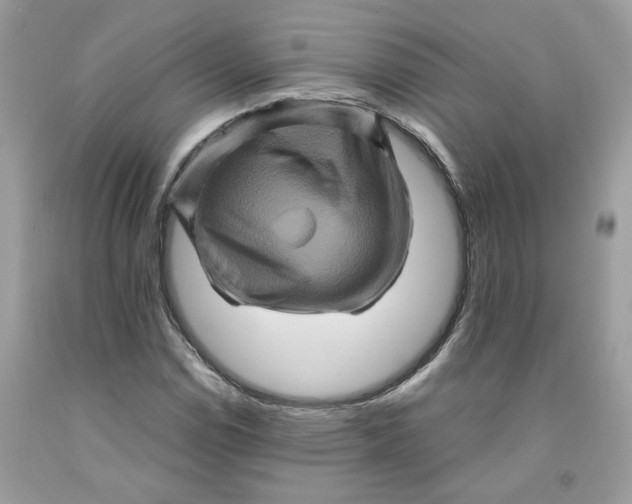 X0000091711114200709141114