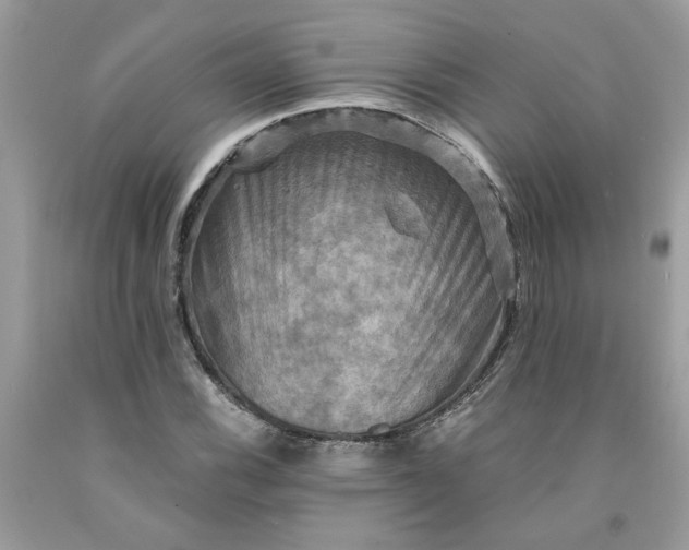 X0000091711116200709141114