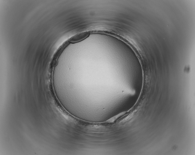 X0000091711119200709141114