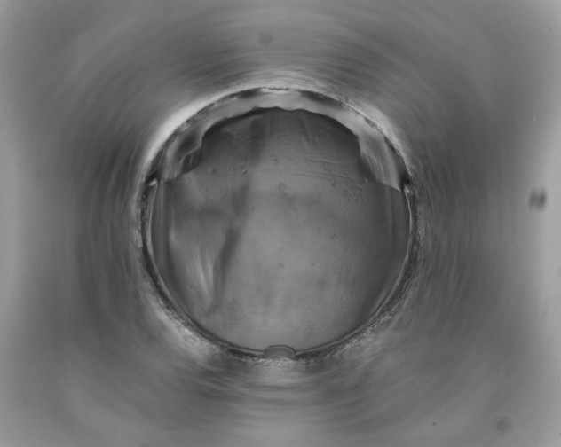 X0000091711120200709141114