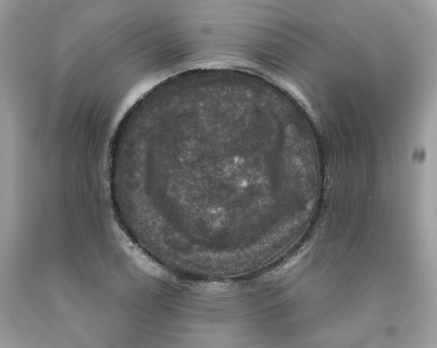 X0000091711122200709141114