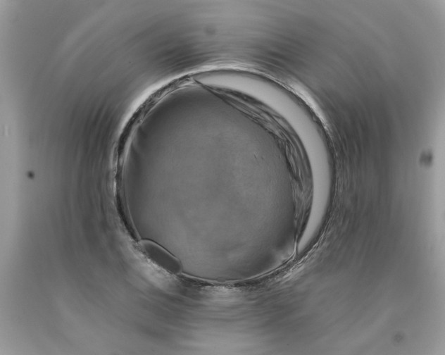 X0000091711124200709141114