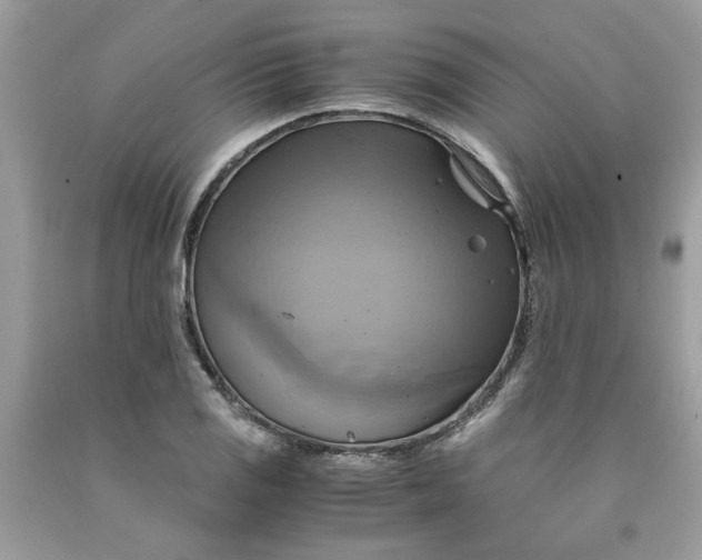 X0000091711125200709141114