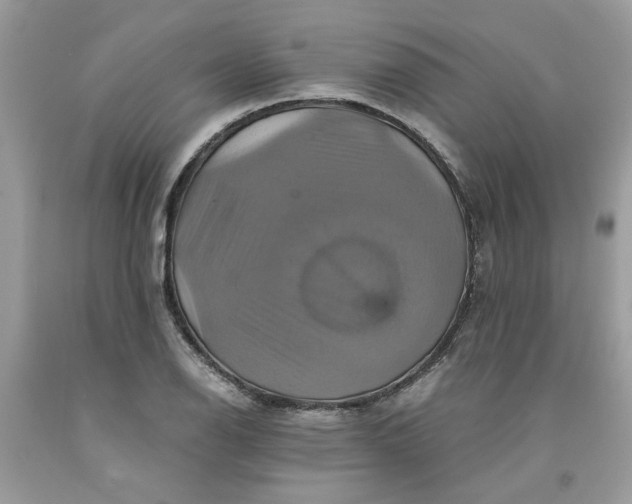 X0000091711126200709141114