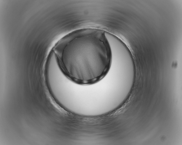 X0000091711128200709141114