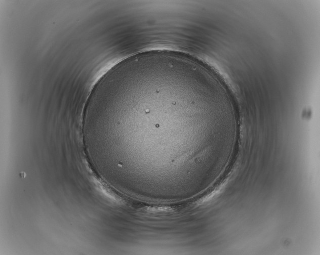 X0000091711129200709141114