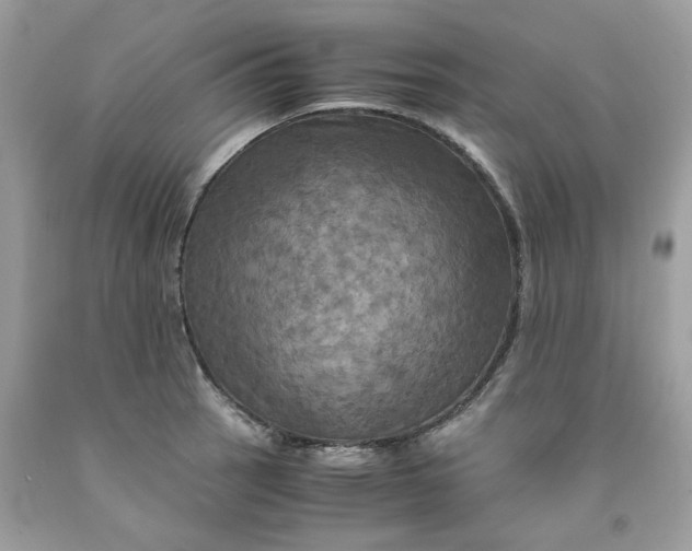 X0000091711137200709141114