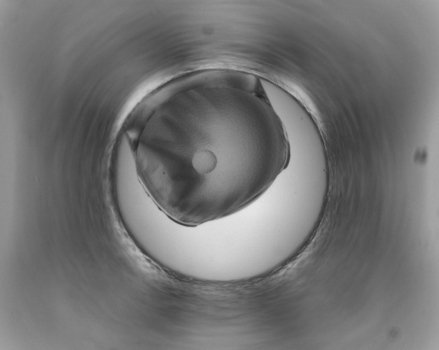 X0000091711138200709141114