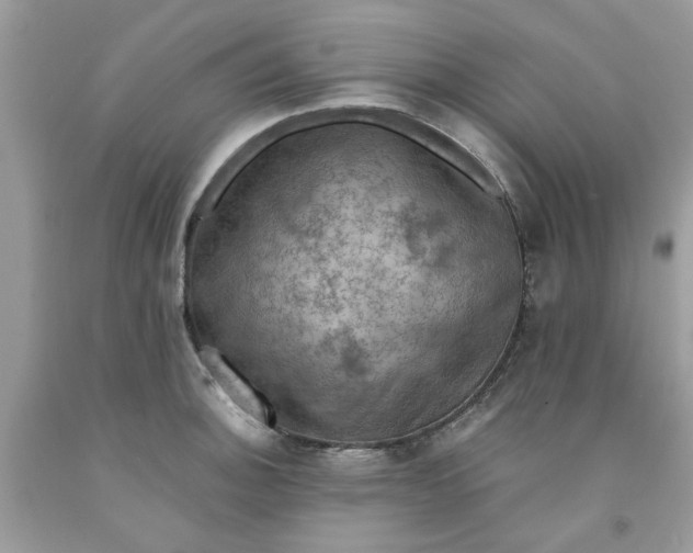 X0000091711140200709141114