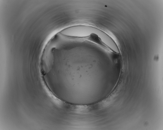 X0000091711144200709141115