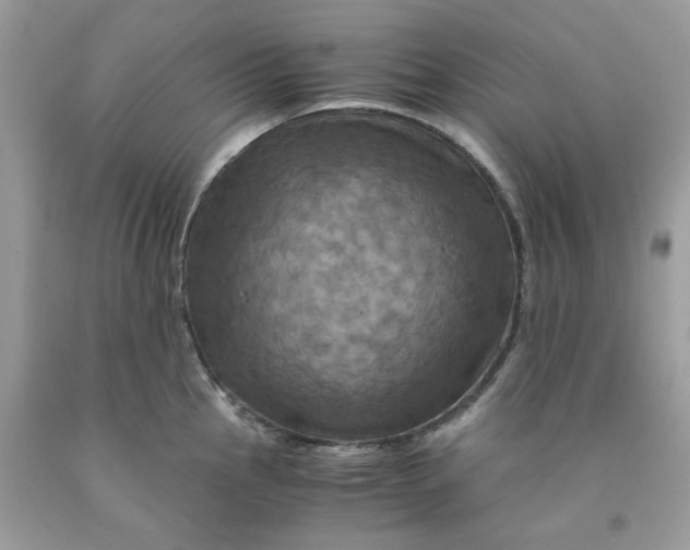 X0000091711145200709141115