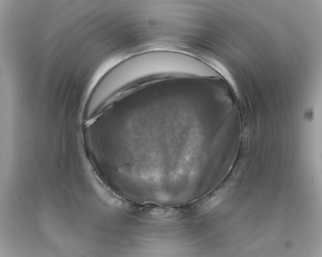 X0000091711146200709141115