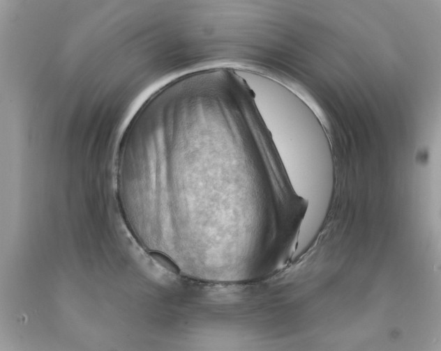 X0000091711148200709141115