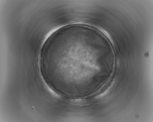 X0000091711149200709141115