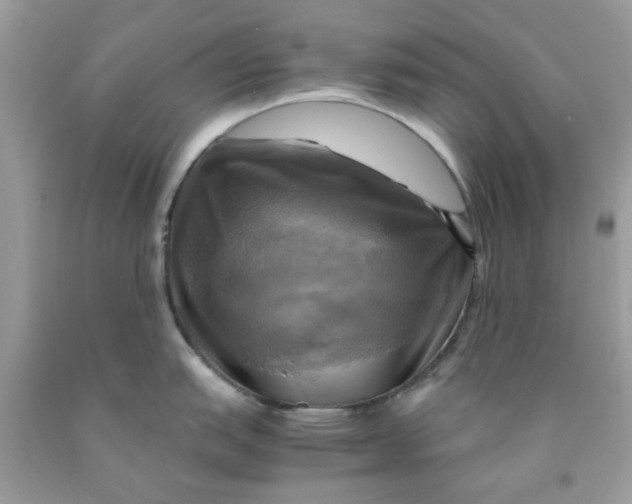 X0000091711151200709141115