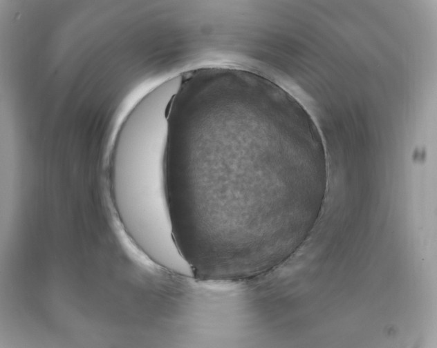 X0000091711152200709141115