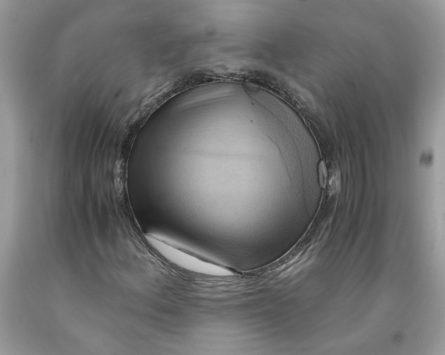 X0000091711156200709141114