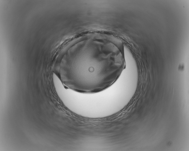 X0000091711157200709141114