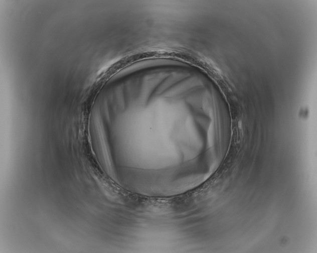 X0000091711158200709141114