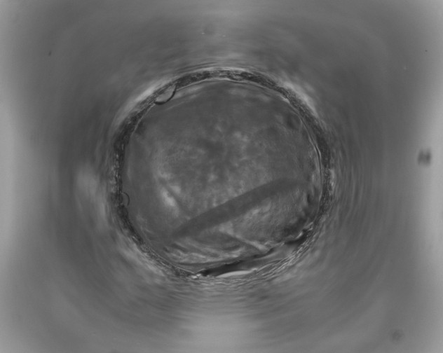 X0000091711159200709141114