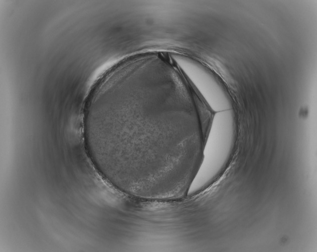 X0000091711164200709141114