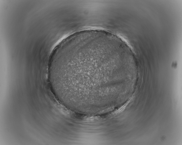 X0000091711165200709141114