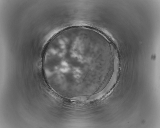 X0000091711167200709141114