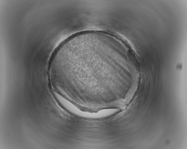 X0000091711168200709141114