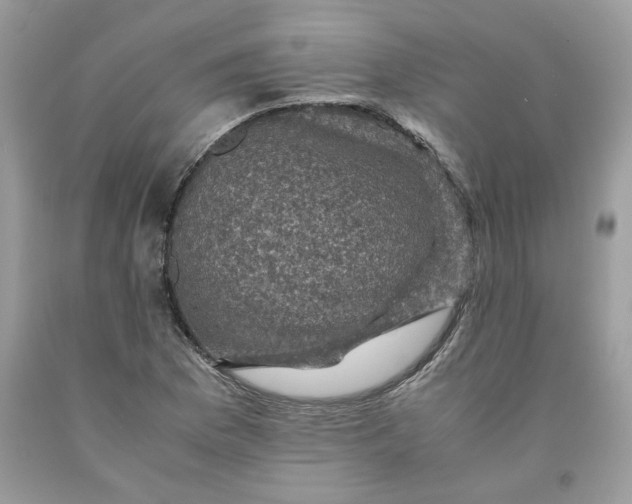 X0000091711169200709141114