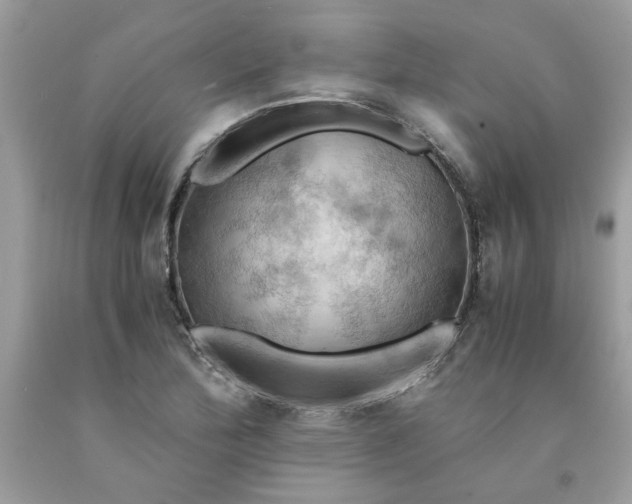 X0000091711172200709141114