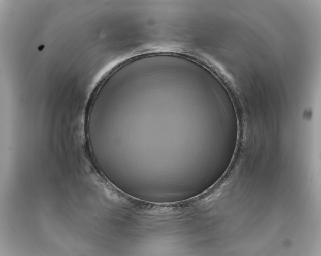 X0000091711174200709141114