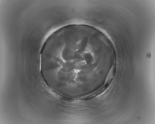 X0000091711175200709141114