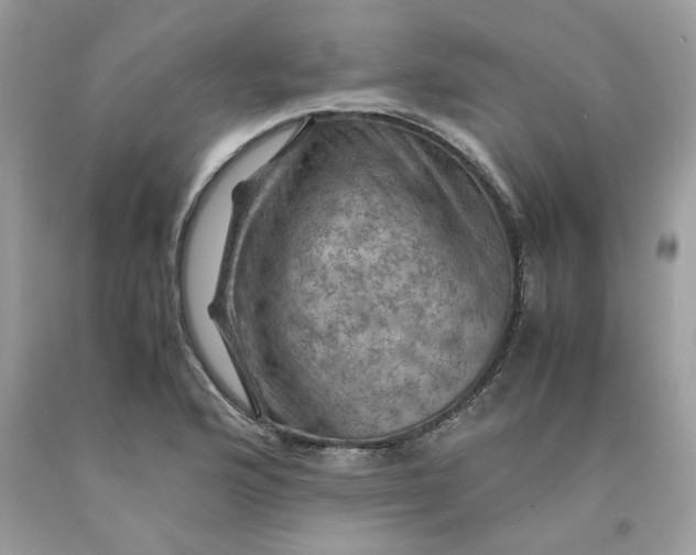 X0000091711176200709141114