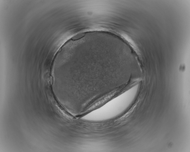 X0000091711177200709141114