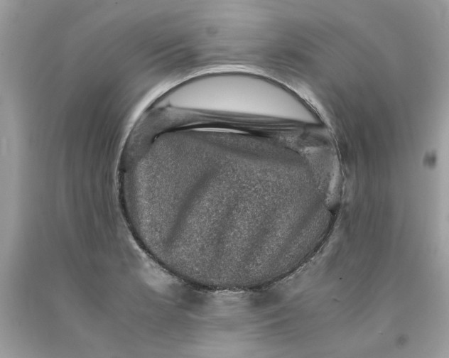 X0000091711181200709141114