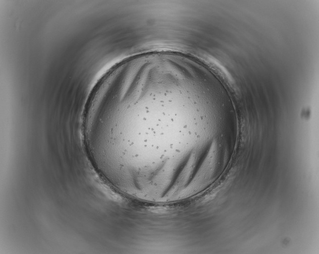 X0000091711182200709141114