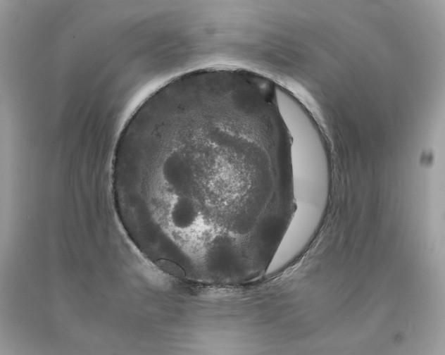 X0000091711183200709141114