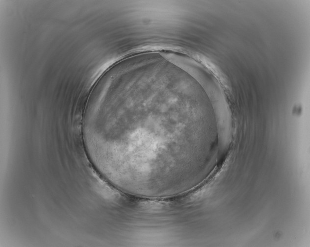 X0000091711185200709141114