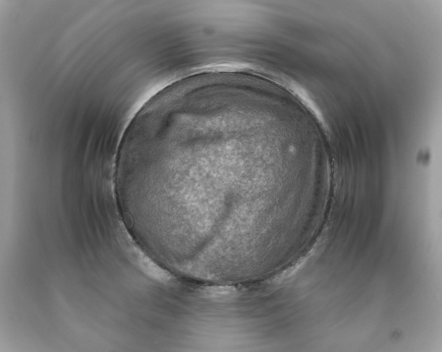 X0000091711186200709141113