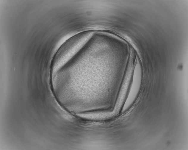 X0000091711187200709141113