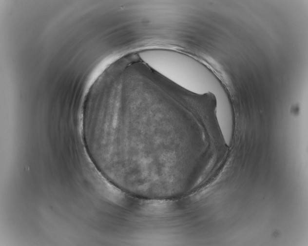 X0000091711188200709141113