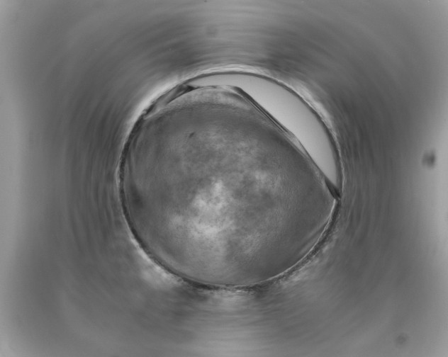 X0000091711189200709141113