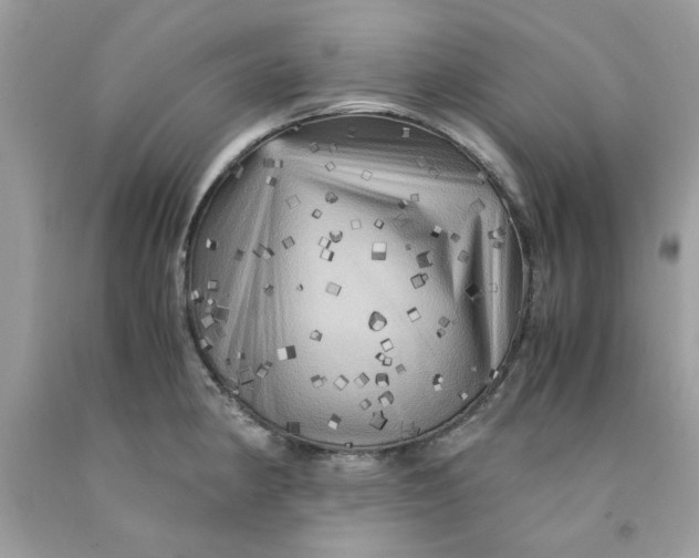 X0000091711190200709141113