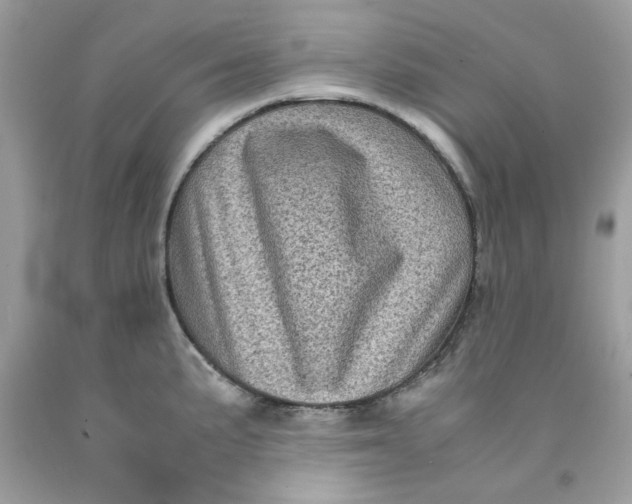 X0000091711191200709141113