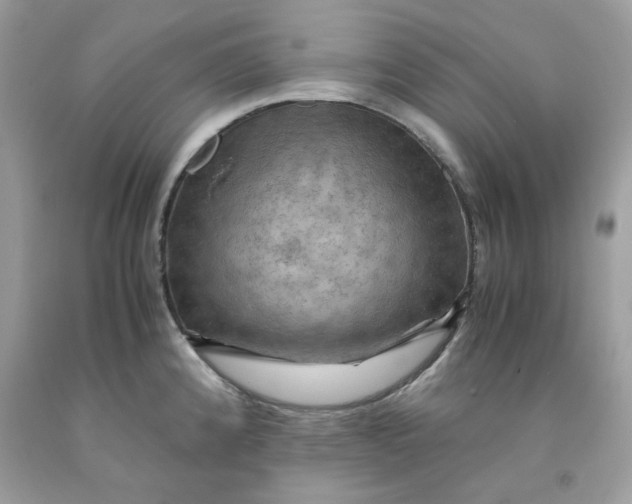 X0000091711192200709141113