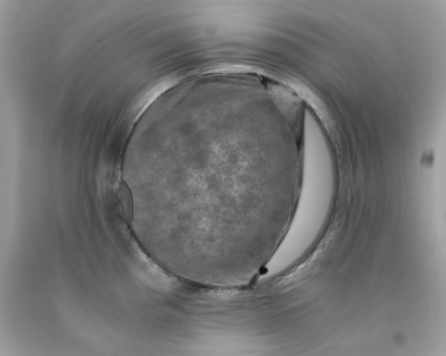 X0000091711193200709141113